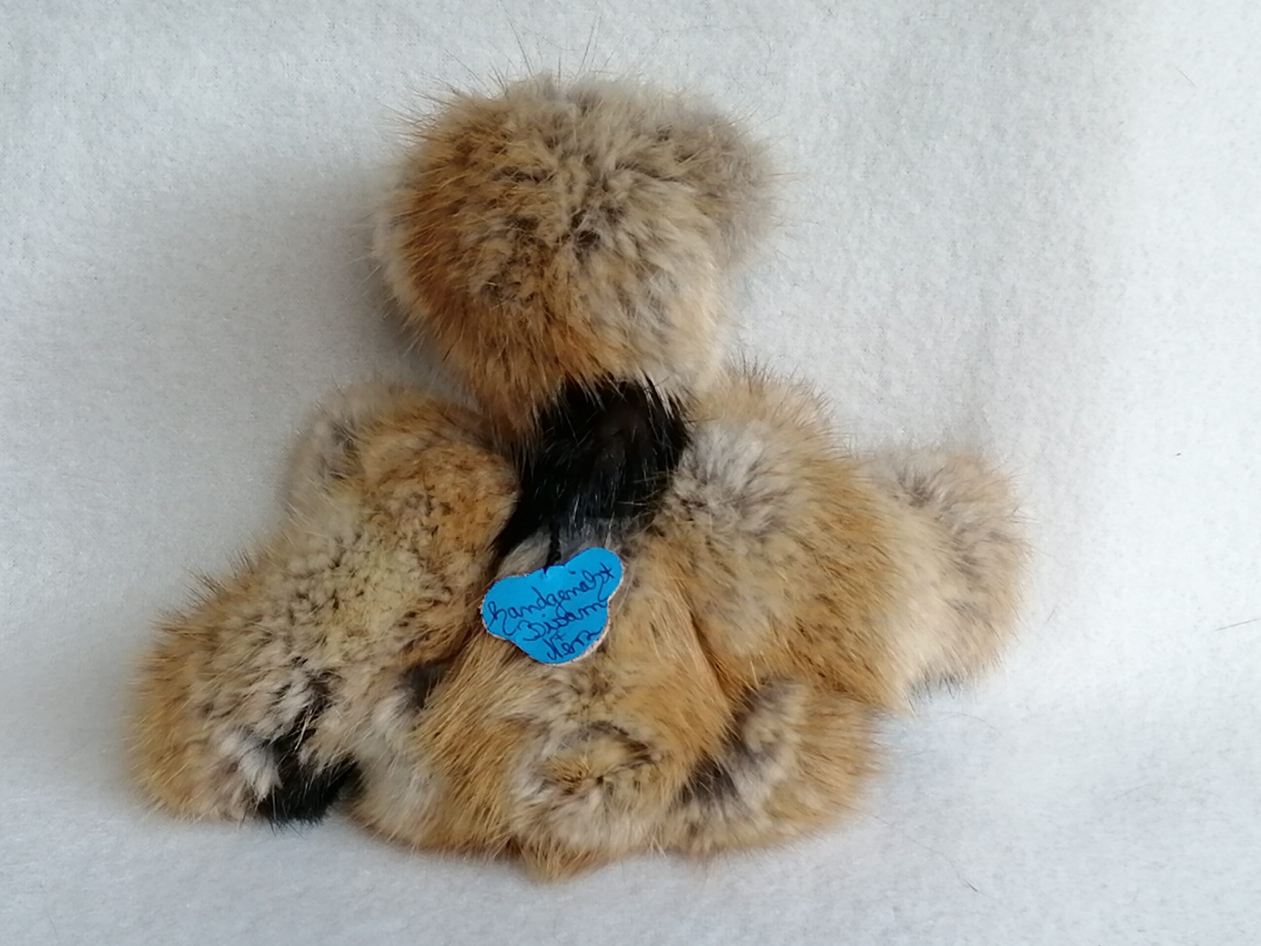 Teddy Petzi II, Handgearbeiteter Teddybär aus Meisterhand, Künstlerteddy, Bisam und Nerz – Bild 5